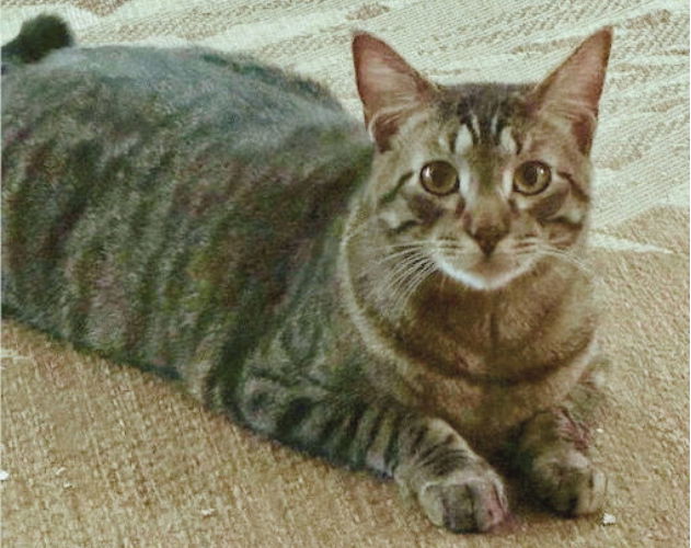 Max M., photo 13