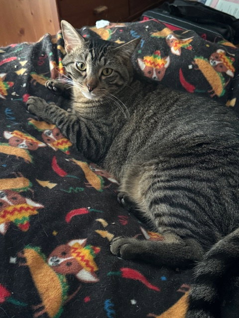 Max M., photo 9