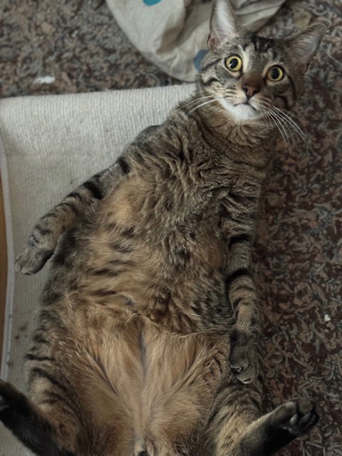 Max M., photo 7