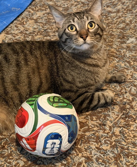 Max
