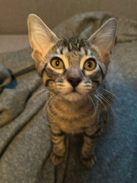 Max M., photo 24