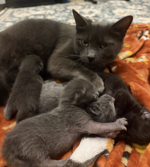 Photo 2 of Momma Graycee May