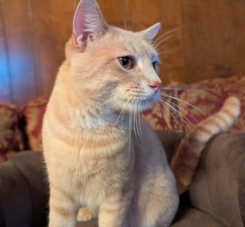 Sammy F.
