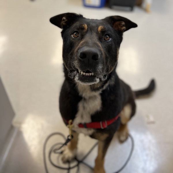 Max