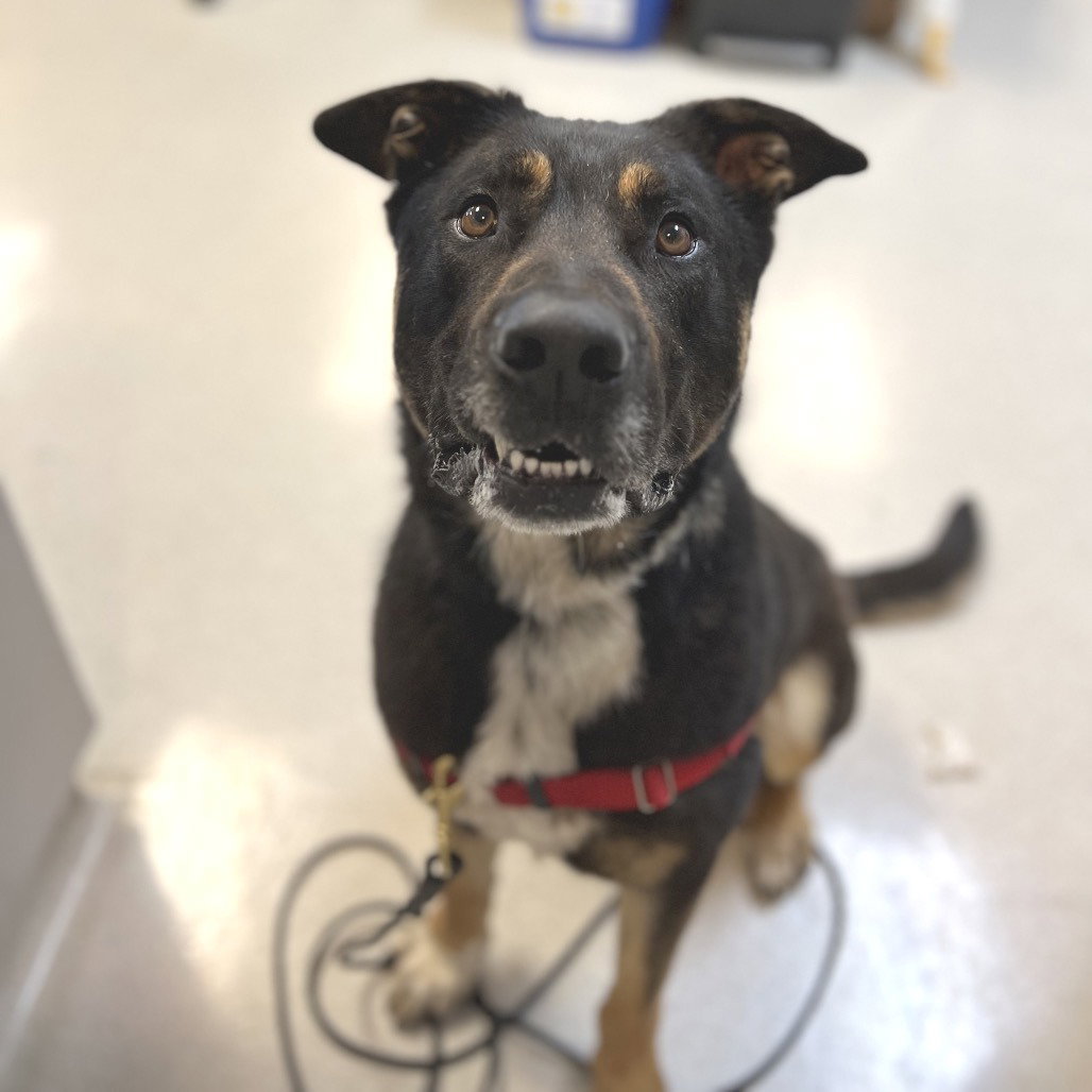 Max