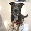 Max - Photo 1
