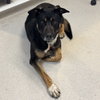 Max - Photo 2