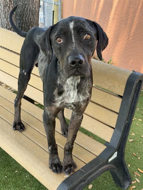 COOPER