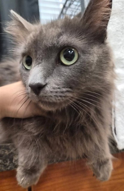 RITA