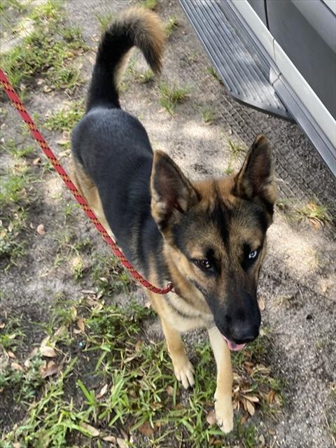 Zeus