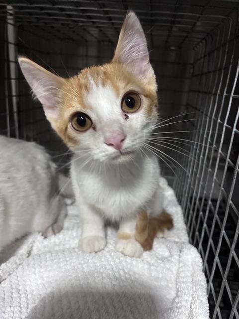 John B