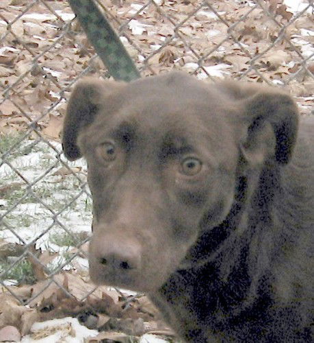 Coco