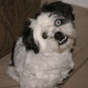 Mugsy