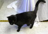 Monroe-Adopted!