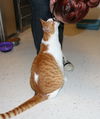 Billbert-Adopted!