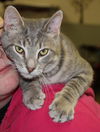 Timothy-Adopted!