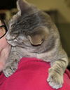 Timothy-Adopted!