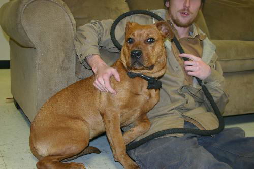 Minnie-Adopted