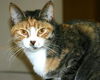 Tanya-ADOPTED!!