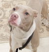 Coco-Adopted