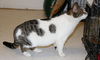Mojoma-Adopted!