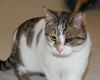 Mojoma-Adopted!