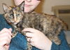 Chrissy-Adopted