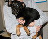 Mya-Adopted