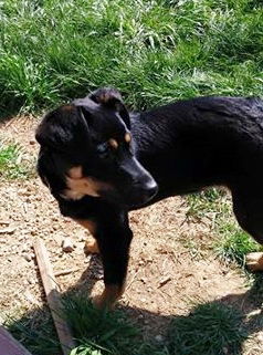 Mya-Adopted