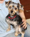 Moe-Adopted