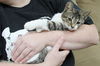 Murphy-Adopted
