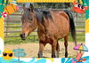 adoptable Horse in  named ARIANA