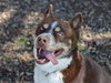 TUCKER - Photo 1