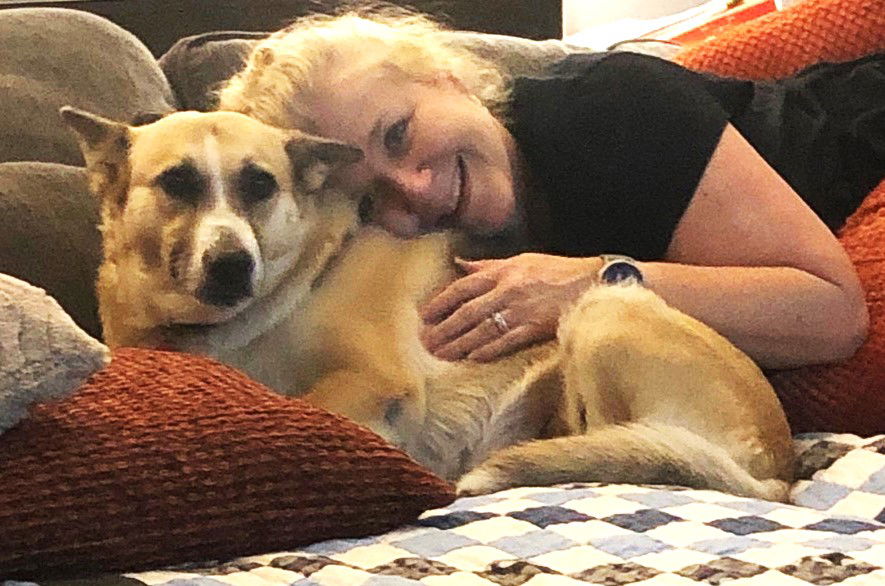 adoptable Dog in Germantown, TN named Katy