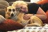 adoptable Dog in  named Katy