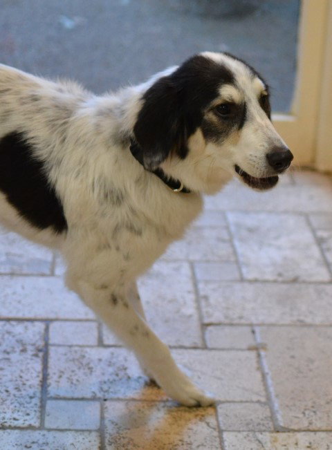 Photo of Sophie
