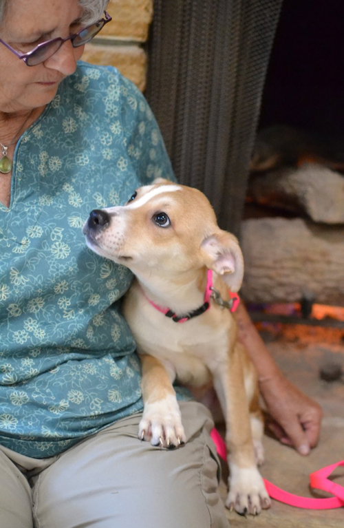 Pippa photo 3