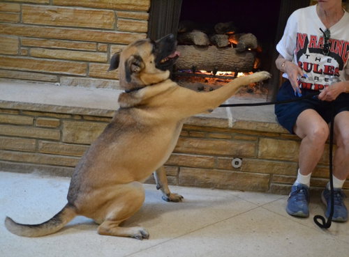 Reggie photo 2