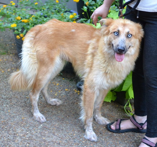 Sasha photo 3