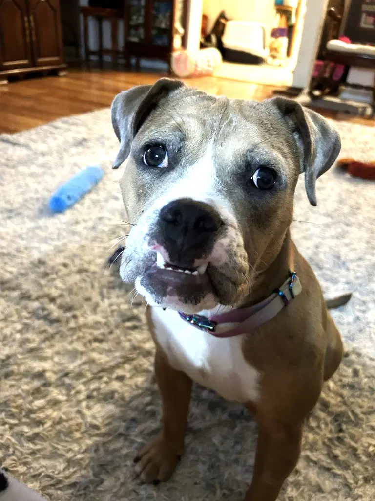 Winnie image 2