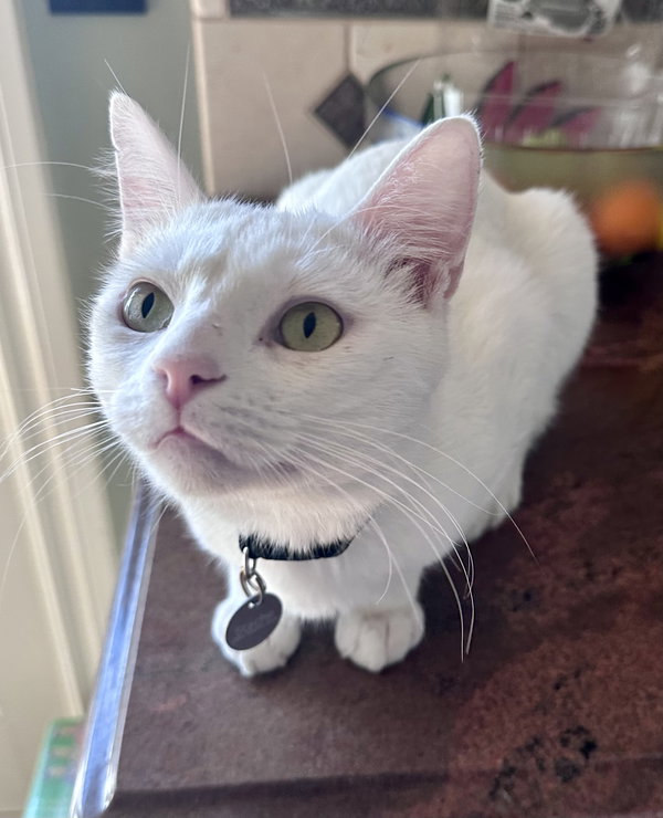 Milky