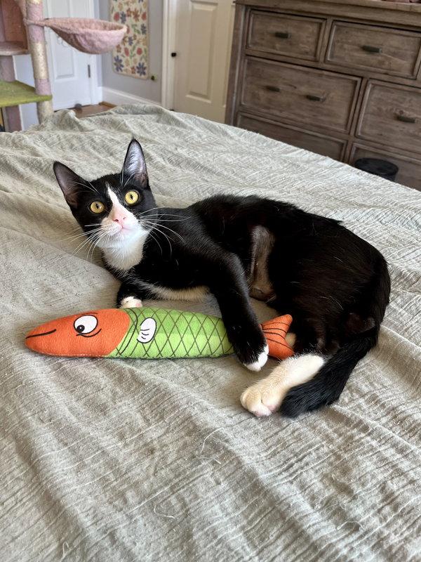 Maggie