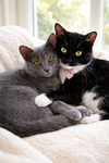 Misty and Mama Bella - Photo 1