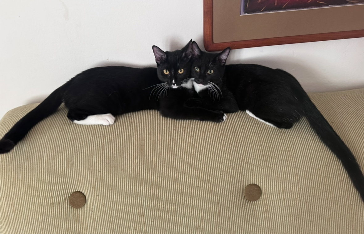 Trixie & Cry Baby