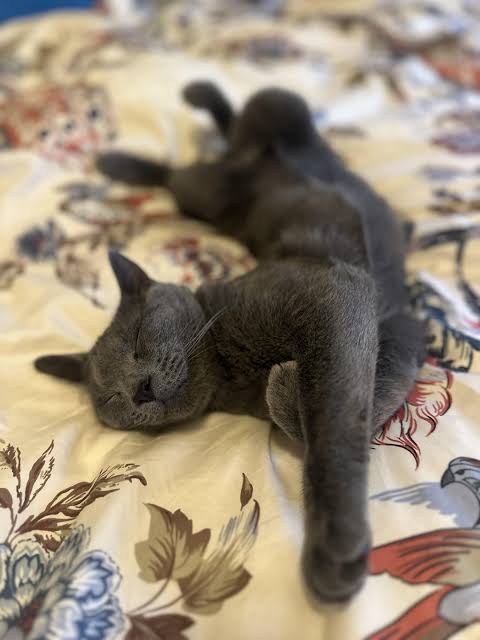 Luna & Louis