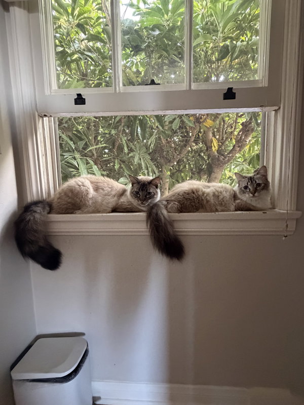 Poppie & Pip
