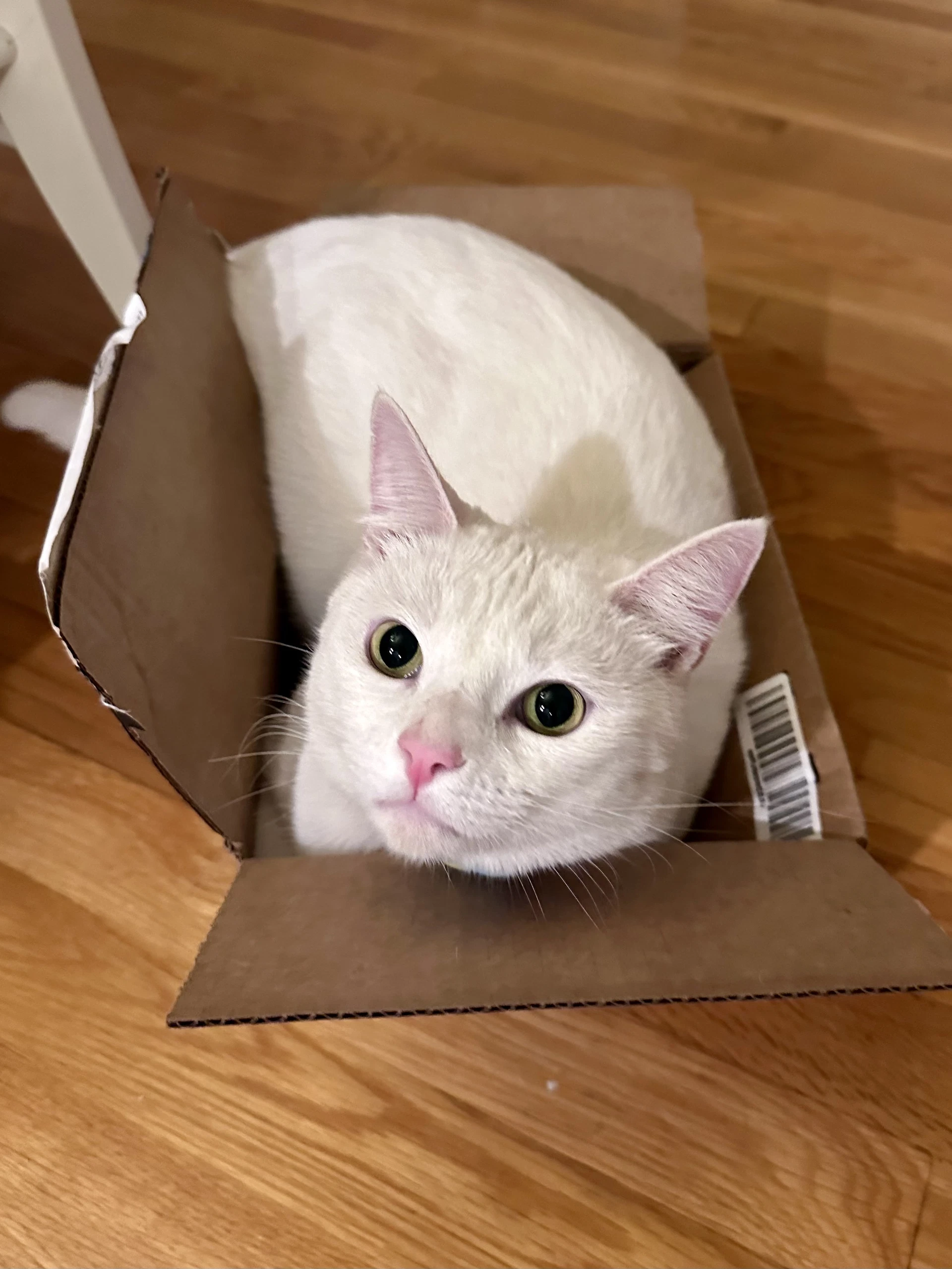 Milky