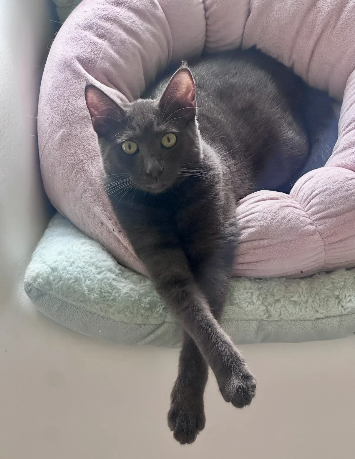 Luna