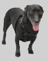 Goliath - Photo 2