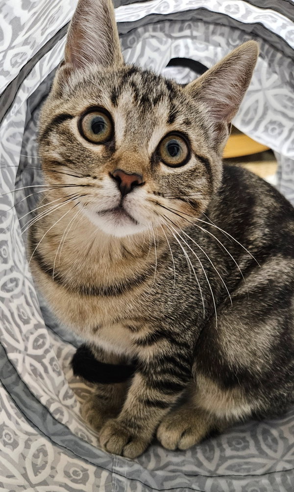 Mia